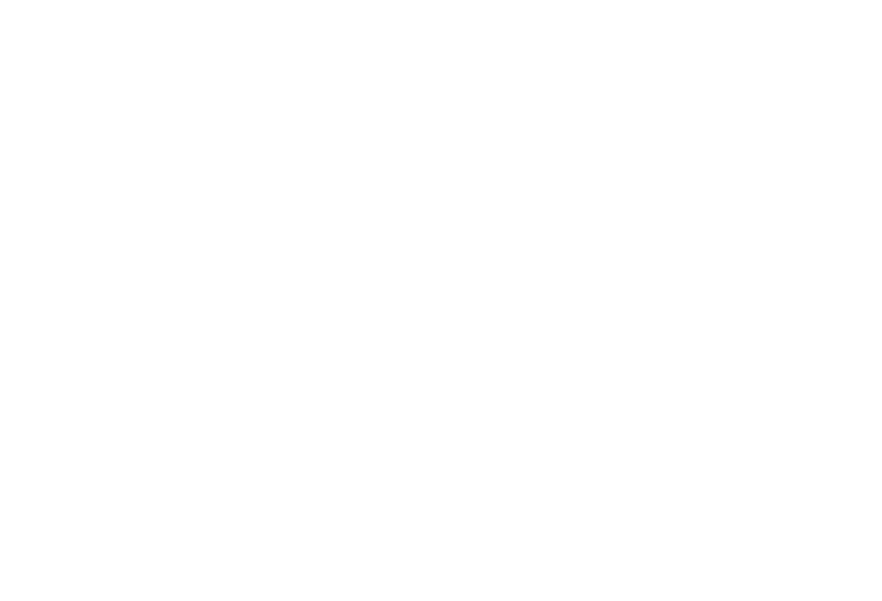 True north - logo stacked - white@3x